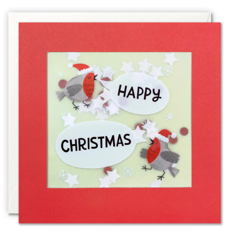 Two Robins - Paper Shakies | Christmas card